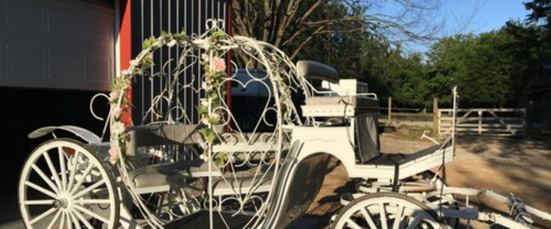 Explore the City in Style: Customized Carriage Tours