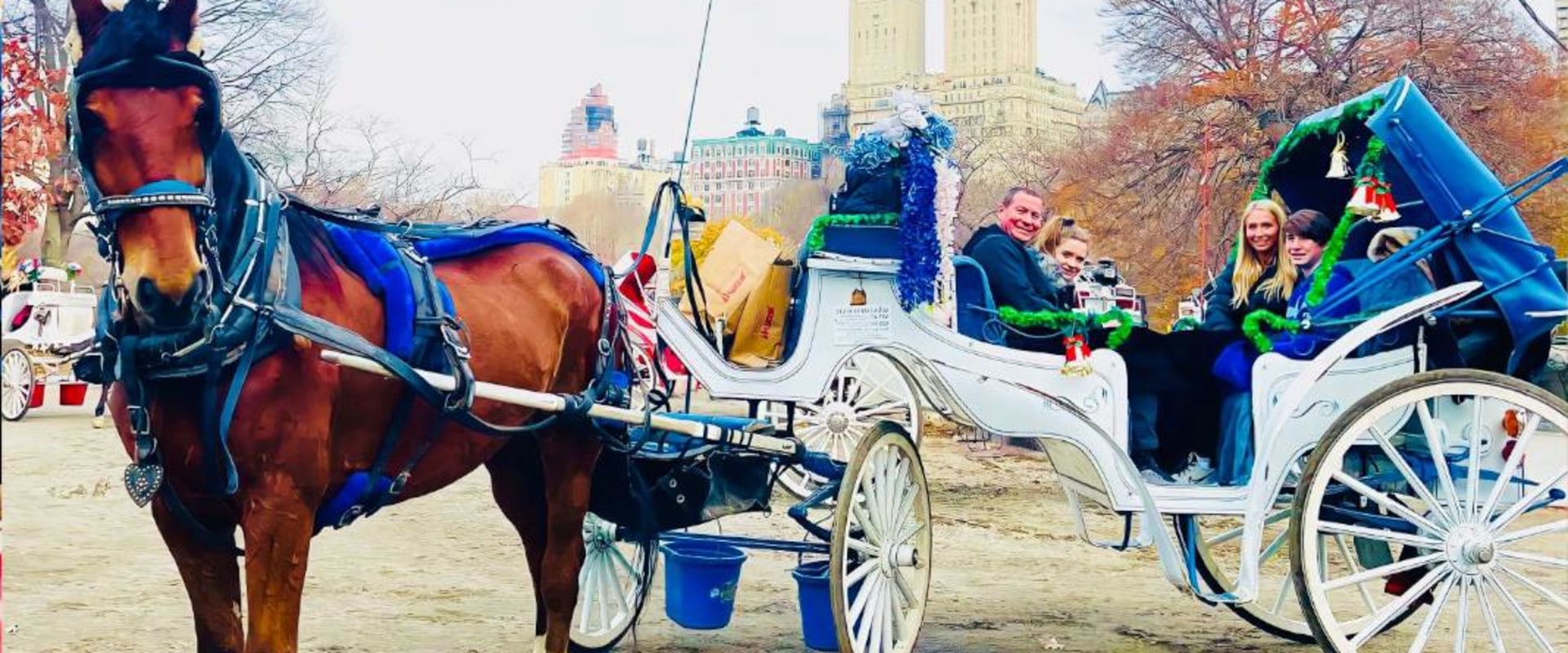 How much is a horse and carriage ride in central park?