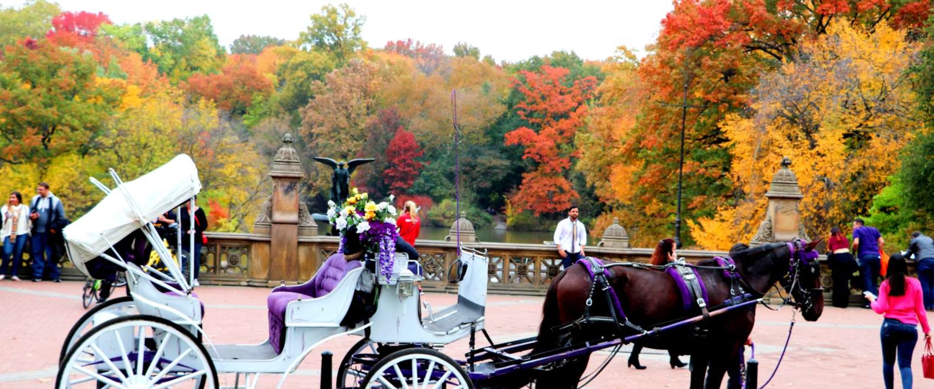 How long does a carriage ride take in central park?