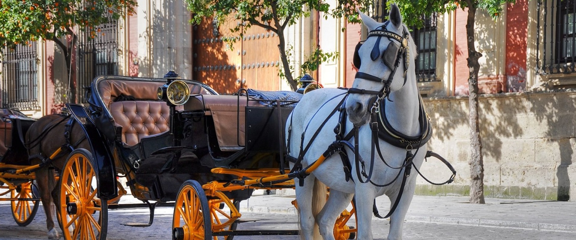 How much is central park horse carriage?