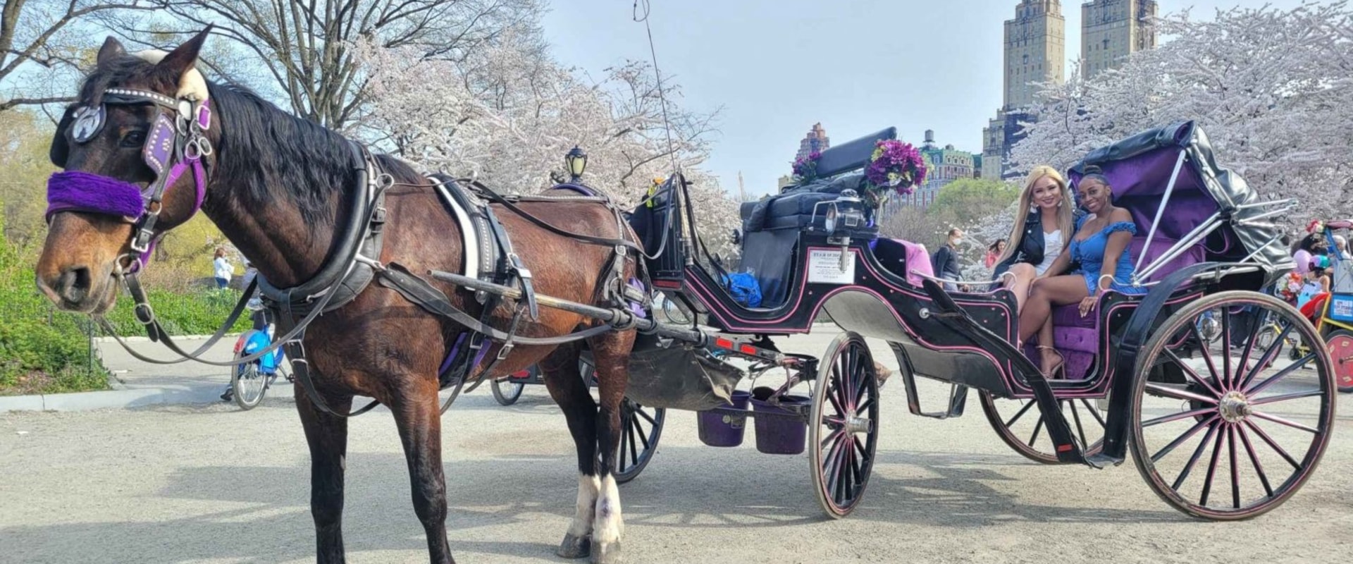 Discover the Magic of Famous Landmarks on a Carriage Tour