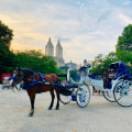 Is carriage ride through central park worth it?