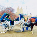 How much is a horse and carriage ride in central park?