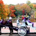 How long does a carriage ride take in central park?