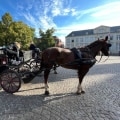 Discover the Beauty of Carriage Tours for Couples