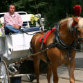 Insightful Commentary from Driver: The Benefits of Taking a Carriage Tour