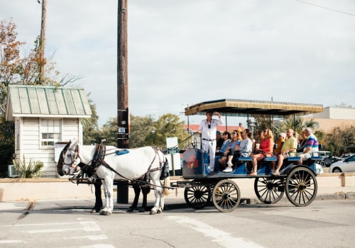 Discover the Charm of a Carriage Tour: A Perfect Option for Your Family Reunion Outing
