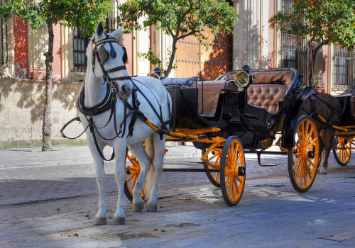 How much does a carriage ride in central park cost?