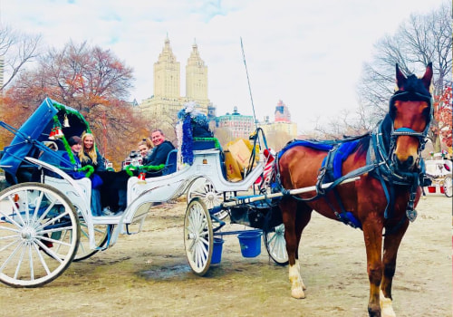 How much is a horse and carriage ride in central park?