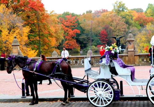 How long does a carriage ride take in central park?