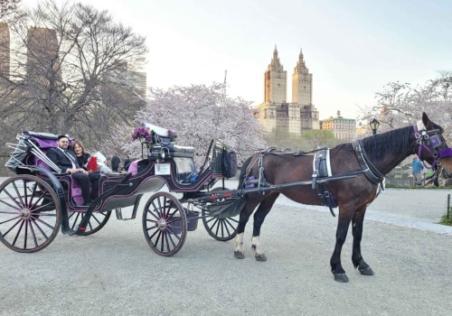 Learn About the City's History and Culture Through Carriage Tours
