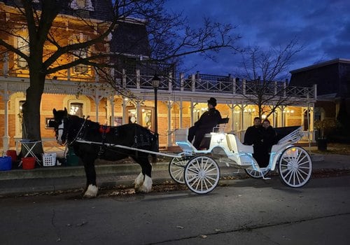 How to Experience a Romantic Carriage Ride in Your City