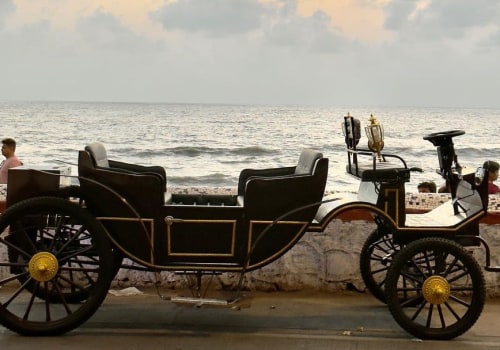 Discover the Convenience of Carriage Tours