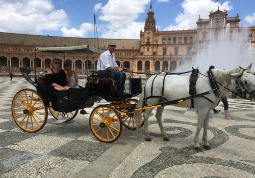 Unobstructed Views: The Key to a Perfect Carriage Tour Experience